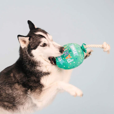 PetShop by Fringe Studio - I Pawty, You Pawty - Puppy Village.nl