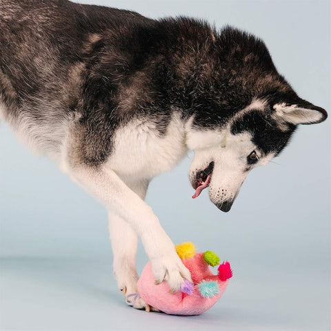 PetShop by Fringe Studio - If the Crown Fits the Dog - Puppy Village.nl
