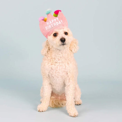 PetShop by Fringe Studio - If the Crown Fits the Dog - Puppy Village.nl