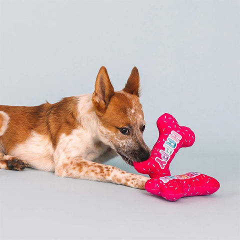 PetShop by Fringe Studio - It's My Barkday - Puppy Village.nl