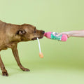 PetShop by Fringe Studio - Sweet Summer Vibes - Puppy Village.nl