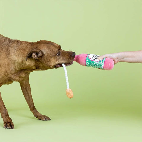PetShop by Fringe Studio - Sweet Summer Vibes - Puppy Village.nl