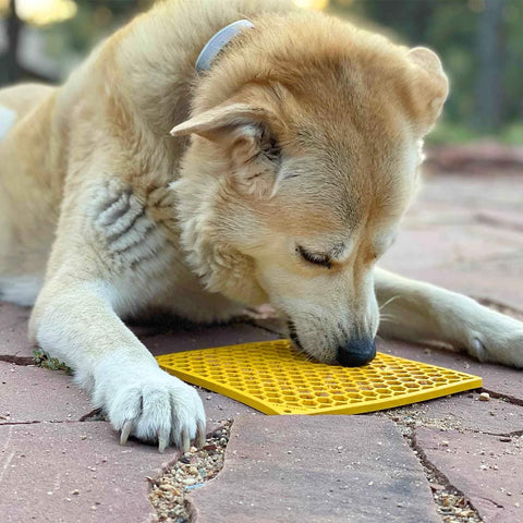 SodaPup Licking eMat - Honeycomb Design - Puppy Village.nl