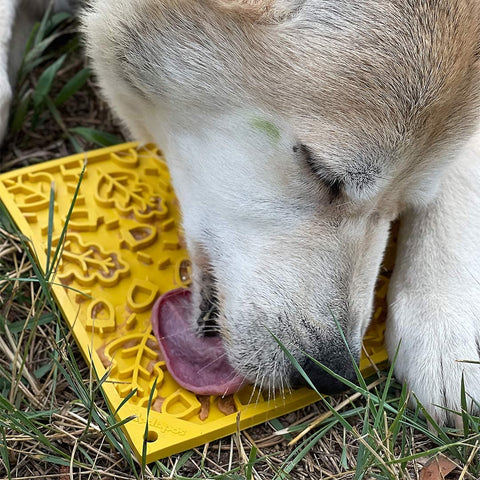 SodaPup Licking eMat - Autumn Design