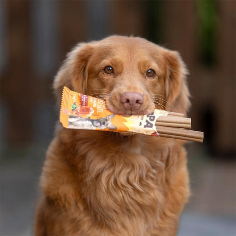 Soopa Dental Sticks Pumpkin Spiced Latte – herfsteditie – hond met verpakking – natuurlijke kauwsnack voor honden, graanvrije en hypoallergene gebitsverzorging