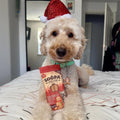 Soopa Dental Sticks Gingerbread Biscuit – kersteditie – hond met verpakking – natuurlijke kauwsnack voor honden, graanvrije en hypoallergene gebitsverzorging