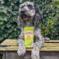 Soopa Dental Sticks Boerenkool & Appel – hond met verpakking – natuurlijke kauwsnack voor honden, graanvrije en hypoallergene gebitsverzorging