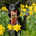 Soopa Dental Sticks Mango & Framboos – hond met verpakking – natuurlijke kauwsnack voor honden, graanvrije en hypoallergene gebitsverzorging