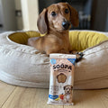 Soopa Puppy Dental Sticks Banaan & Pompoen – hond met verpakking – natuurlijke kauwsnack voor puppy's, graanvrije en hypoallergene gebitsverzorging