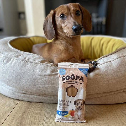 Soopa Puppy Dental Sticks Banaan & Pompoen – hond met verpakking – natuurlijke kauwsnack voor puppy's, graanvrije en hypoallergene gebitsverzorging