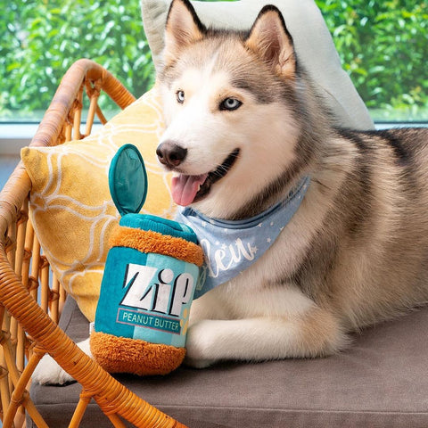 Hond ligt met ZippyPaws Bungee Burrow interactief hondenspeelgoed en intelligentiespel – pindakaas pot met elastisch bungeekoord & Peanut Miniz knuffels met piepers