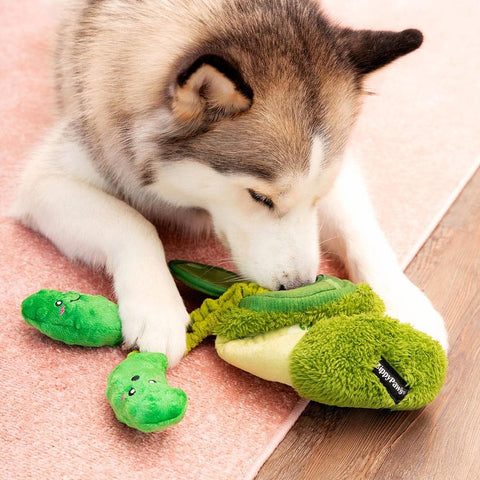 Hond speelt met ZippyPaws Bungee Burrow interactief hondenspeelgoed en intelligentiespel – augurken pot met elastisch bungeekoord & Pickle Miniz knuffels met piepers