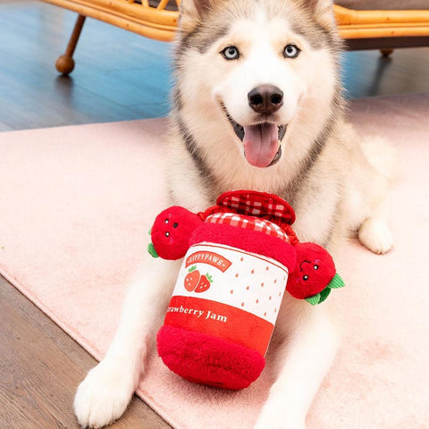 Hond ligt met ZippyPaws Bungee Burrow interactief hondenspeelgoed en intelligentiespel – aardbeienjam pot met elastisch bungeekoord & Strawberry Miniz knuffels met piepers