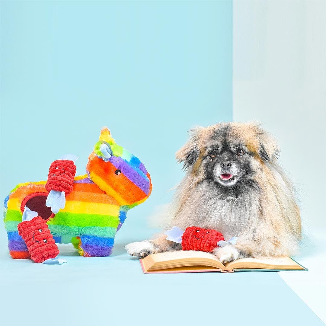 Hond samen met de ZippyPaws Zippy Burrow Piñata – interactief snuffel- en verstopspeelgoed voor honden, pluche piñata met drie losse, piepende rode snoepjes