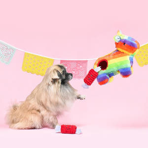 Hond samen met de ZippyPaws Zippy Burrow Piñata – interactief snuffel- en verstopspeelgoed voor honden, pluche piñata met drie losse, piepende rode snoepjes