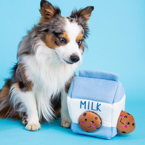 Hond samen met ZippyPaws Zippy Burrow Milk & Cookies – interactief snuffel- en verstopspeelgoed voor honden, pluche blauw-wit melkpak met drie losse, piepende bruine koekjes met chocoladestukjes