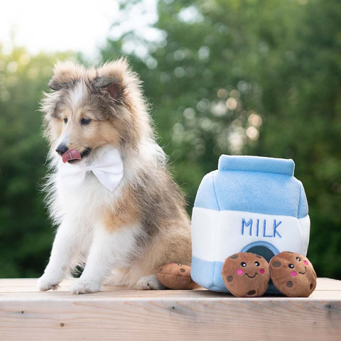 Hond samen met ZippyPaws Zippy Burrow Milk & Cookies – interactief snuffel- en verstopspeelgoed voor honden, pluche blauw-wit melkpak met drie losse, piepende bruine koekjes met chocoladestukjes
