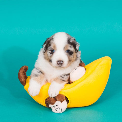 ZippyPaws Zippy Burrow – Monkey 'n Banana