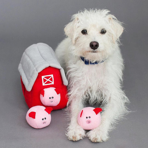 Hond samen met de ZippyPaws Zippy Burrow Pig Barn with Bubble Babiez – interactief snuffel- en verstopspeelgoed voor honden, pluche schuur met drie losse, piepende biggetjes
