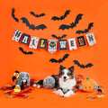 Puppy Village - Halloween Verrassingsbox - Puppy Village.nl