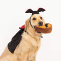 ZippyPaws Halloween Costume Kit - Dracula - Puppy Village.nl