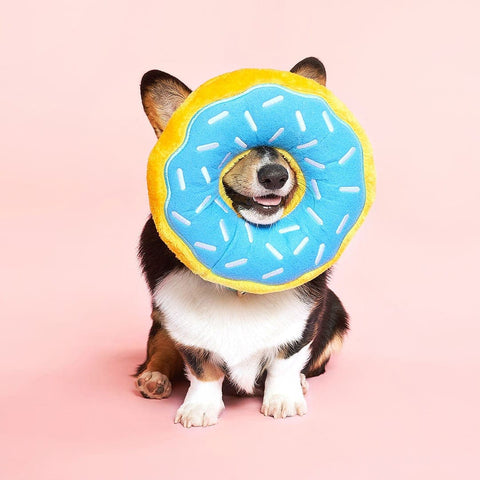 ZippyPaws Jumbo Donutz - Blueberry - Puppy Village.nl