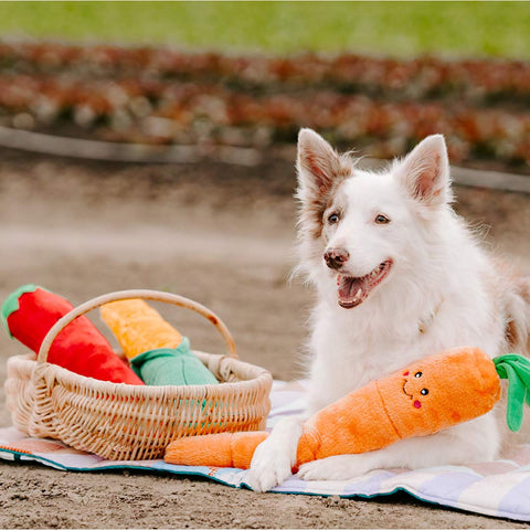 ZippyPaws Veggie Jigglerz - Corn - Puppy Village.nl