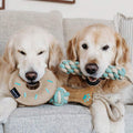 ZippyPaws ecoZippy Cotton and Jute Tug - Puppy Village.nl