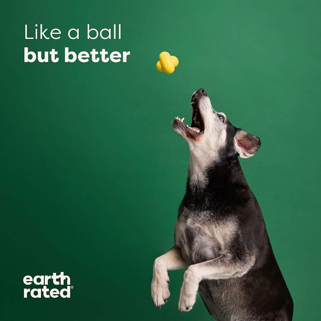 Earth Rated Fetch Toy - Video - Puppy Village.nl