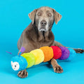 PetShop by Fringe Studio - Don't Bug Me (Video) - Puppy Village.nl