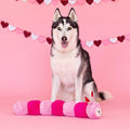 PetShop by Fringe Studio - Love Bug (Video) - Puppy Village.nl