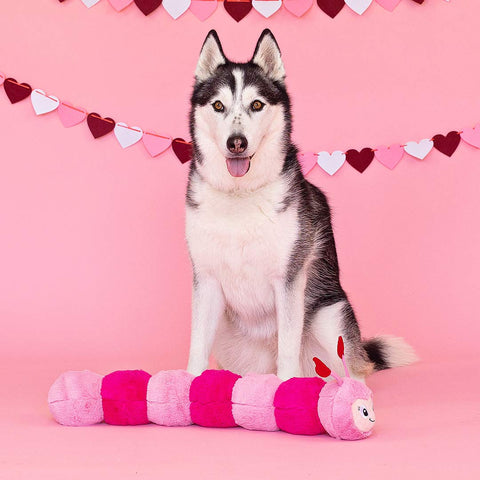 PetShop by Fringe Studio - Love Bug (Video) - Puppy Village.nl
