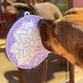 SodaPup Licking eMat with Suction Cups - Lotus Flower - Pastel Paars - Puppy Village.nl